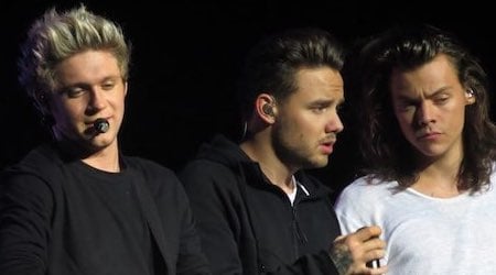 One Direction Members, Tour, Information, Facts - Healthy Celeb