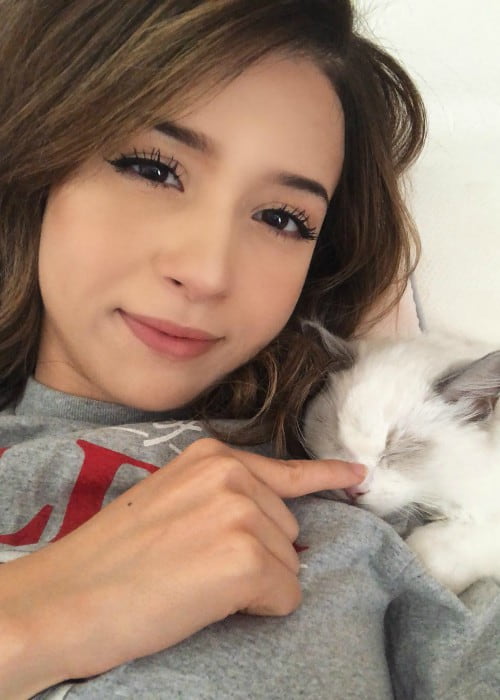 Get Pokimane Height Feet PNG