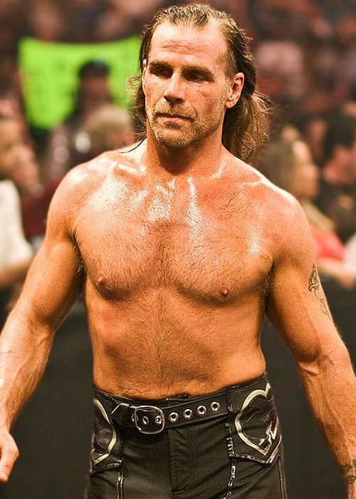 Shawn Michaels during WWE Raw match in November 2008