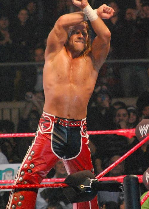 Shawn Michaels during a match in July 2008