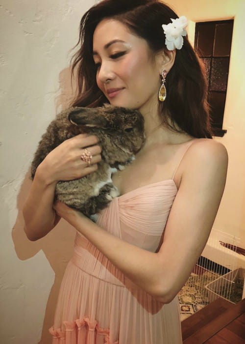 Constance Wu with her pet rabbit as seen in August 2018