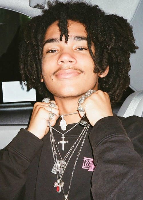 Luka Sabbat Height, Weight, Age, Body Statistics - Healthy ... - 500 x 700 jpeg 47kB