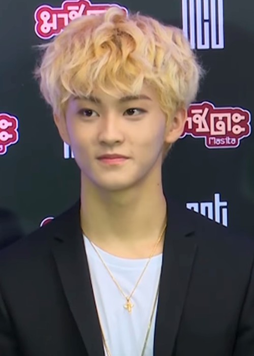 Mark (NCT) Height, Weight, Age, Girlfriend, Family, Facts, Biography