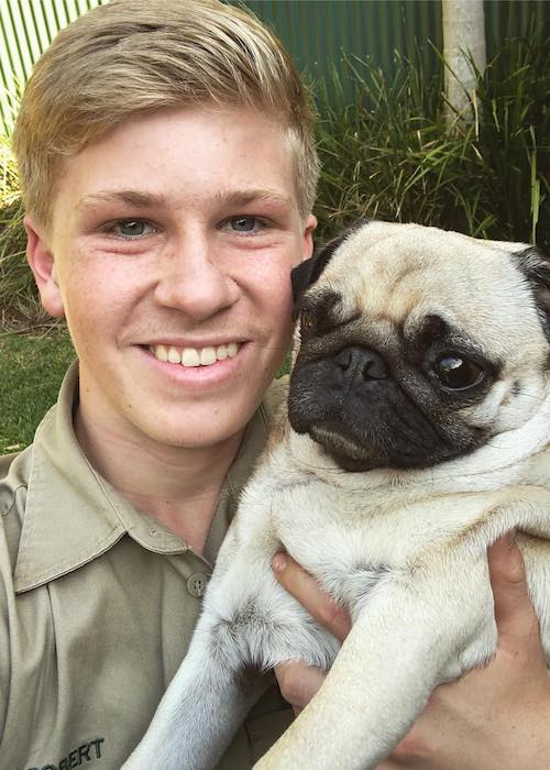 Robert Irwin with Stella The Pug dog in 2018