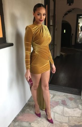 Amber Stevens West Height, Weight, Age, Spouse, Family, Biography