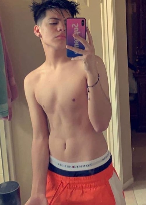 Carlos Mena in a shirtless mirror selfie in November 2018