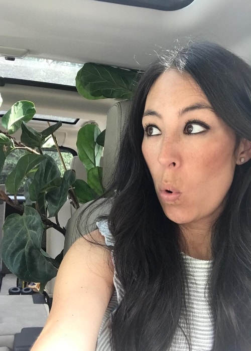 Joanna Gaines in a car-selfie with a plant in her backseat in June 2017