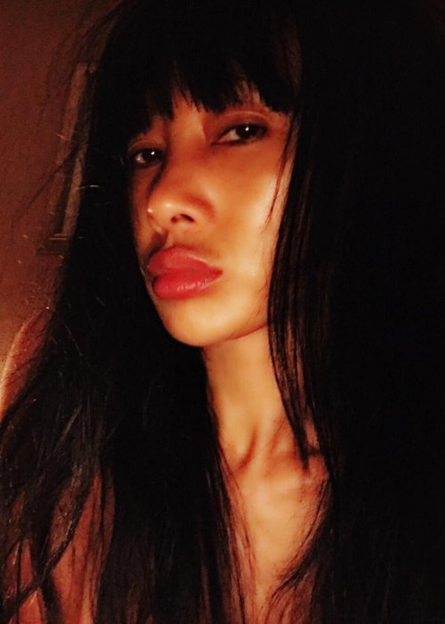 Bai Ling in an Instagram selfie as seen in October 2018