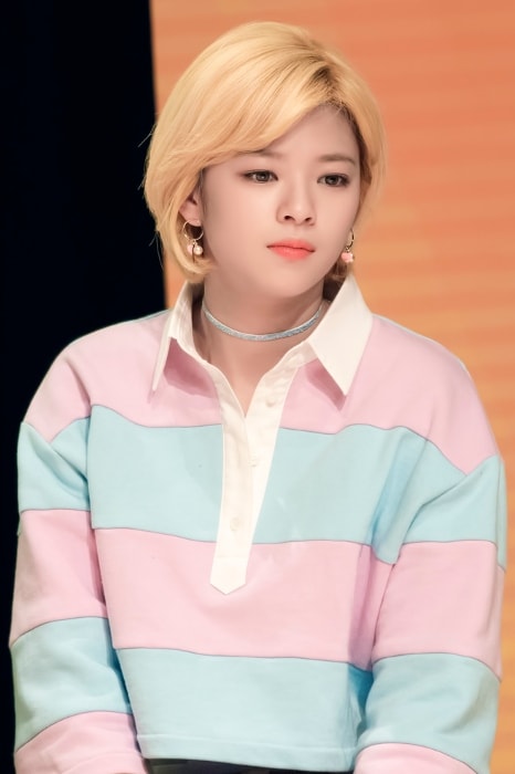 Jeongyeon as seen at Twice Sudden Attack Fan Meeting in March 2017