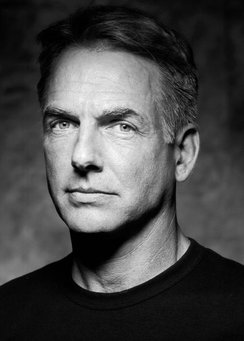 Unveiling Mark Harmon's Height A Comprehensive Guide