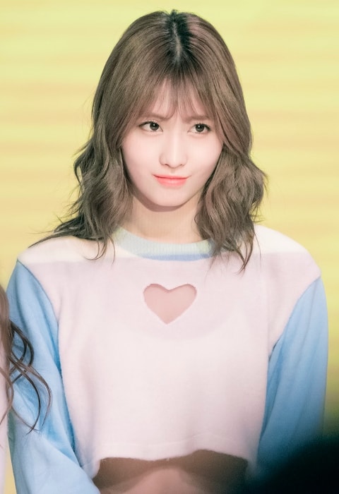 Momo as seen at Twice Sudden Attack Fan Meeting in March 2017