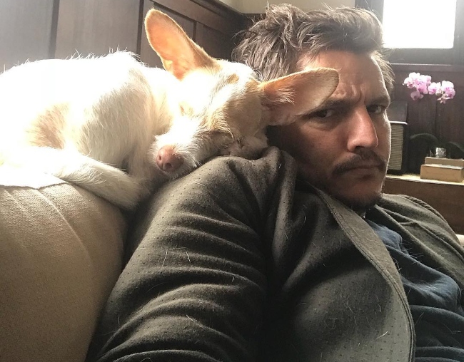 Pedro Pascal in a selfie with his dog in March 2018