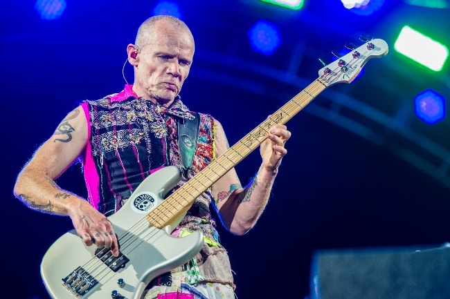 Flea while performing with his band in June 2016