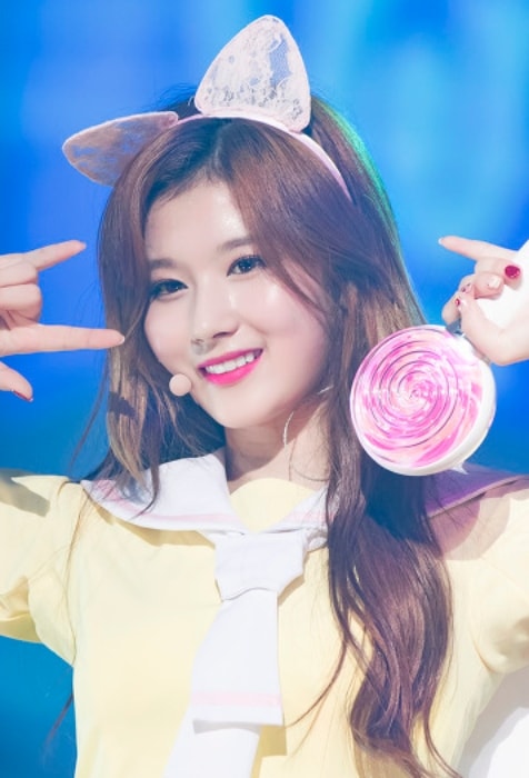 Sana posing while at Twiceland Encore Concert in Seoul in June 2017