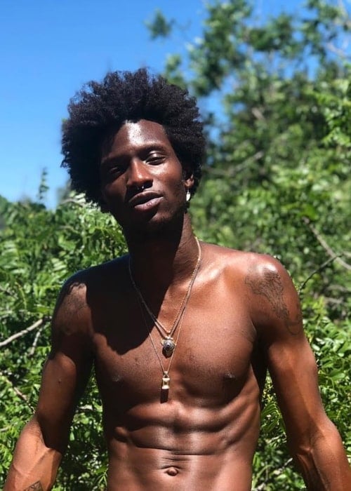 Adonis Bosso posing shirtless in April 2018