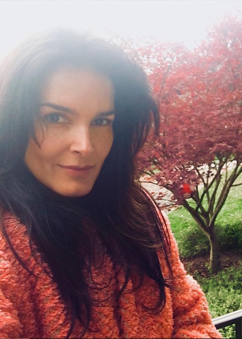 Angie Harmon in an Instagram Selfie in November 2017