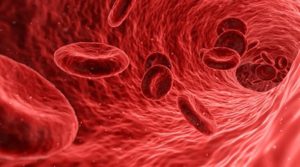 Best Foods to Eat After Donating Blood