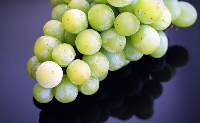 Frozen grapes