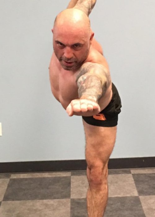 sleep expert joe rogan