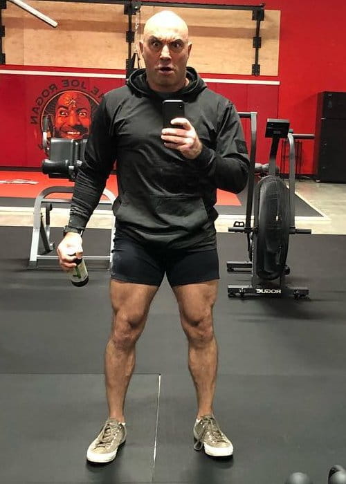 Joe Rogan in a selfie in February 2018