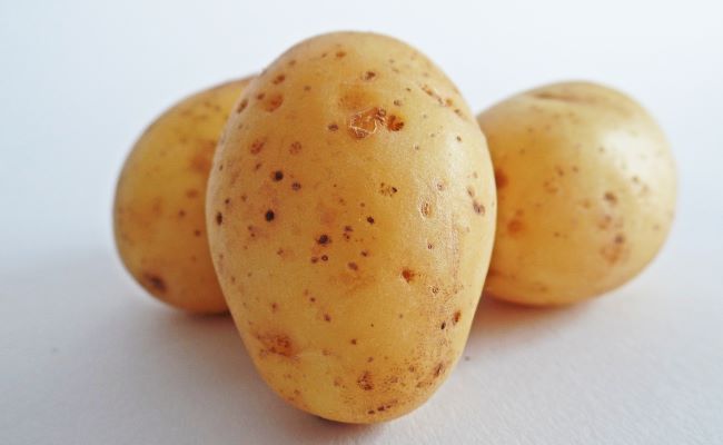 Potato