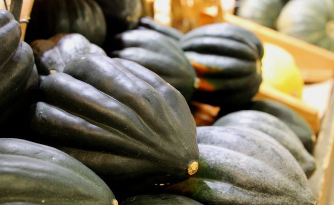 Acorn Squash