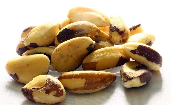 Brazil Nuts