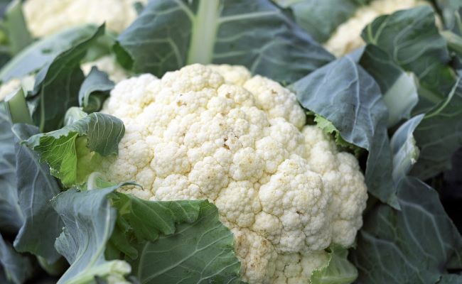 Cauliflower