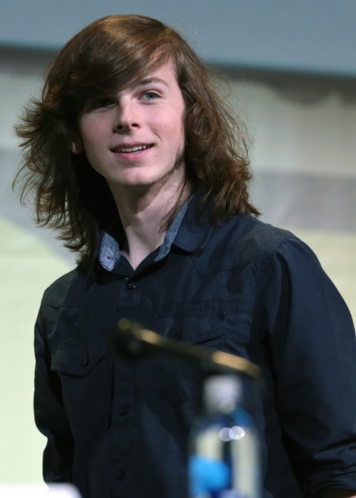 Chandler Riggs Height, Weight, Age, Body Statistics Healthy Celeb