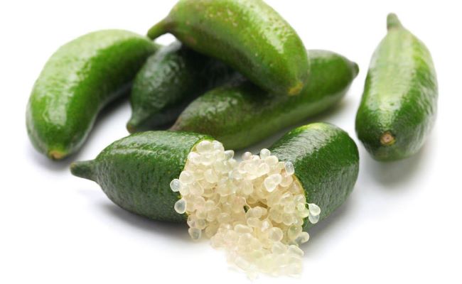 Finger Lime