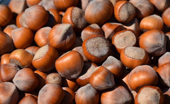 Hazelnuts