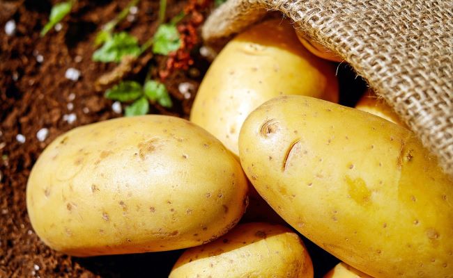 Benefits of Eating Potato
