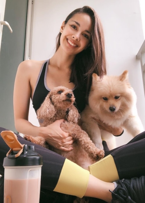 Megan Young as seen in a picture with her pups Melo and Yogi in September 2018