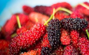 Benefits of Eating Mulberry