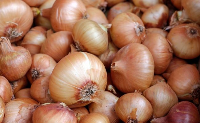 Benefits of Eating Onions