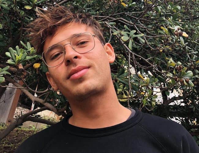 Flume Height, Weight, Age, Girlfriend, Family, Facts, Biography