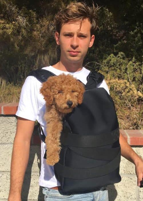 Flume with his dog as seen in September 2018