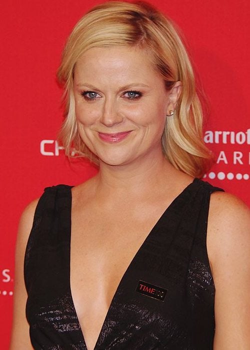 Amy Poehler at the 2012 Time 100 gala