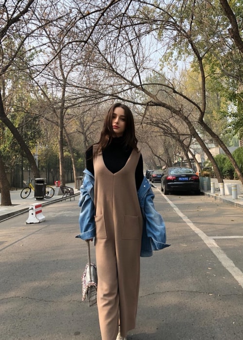 Dasha Taran as seen in a picture taken in Beijing in November 2018