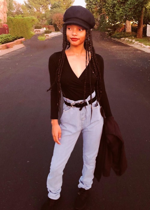 Halle Bailey as seen in a picture taken in November 2018