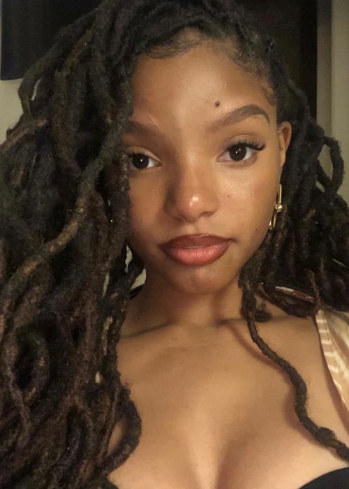 Halle Bailey as seen in a selfie taken in June 2019