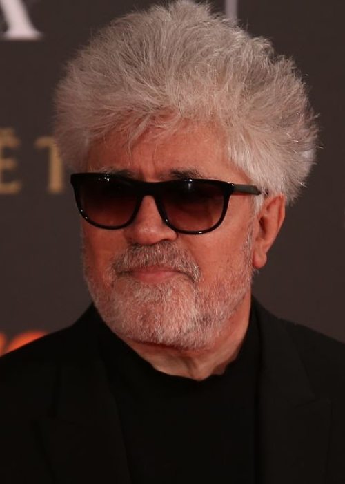 Pedro Almodóvar at Premios Goya in 2017