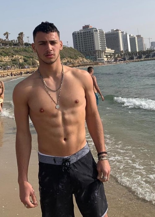 Barak Shamir as seen while posing shirtless for the camera while enjoying some time by the beach in April 2019