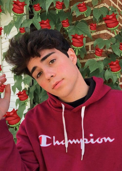 Benji Krol Height, Weight, Age, Boyfriend, Family, Facts, Biography