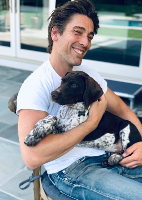 David Muir with his dog as seen in June 2019