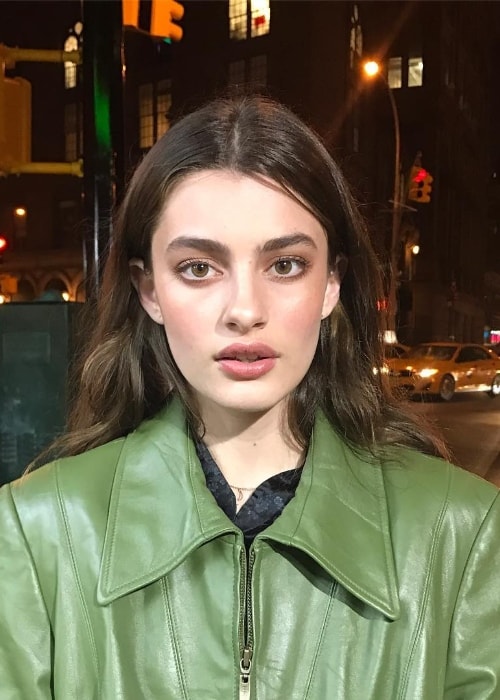 Diana Silvers as seen all glammed-up in February 2017