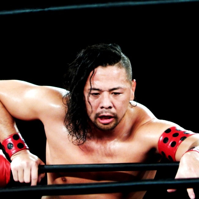 Shinsuke Nakamura as seen in May 2015