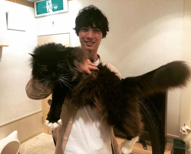 Sota Fukushi with his cat as seen in May 2019