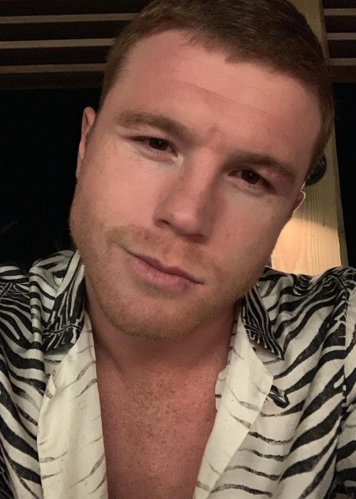 Canelo Álvarez as seen in January 2019