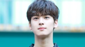 Cha Eun-woo